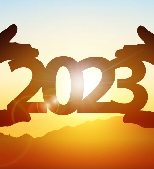 2023 New Year